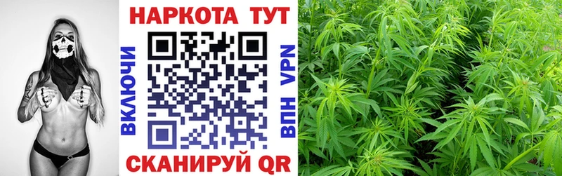 Магазины продажи наркотиков Туапсе Канабис  omg как войти  Мефедрон  Альфа ПВП  Амфетамин 
