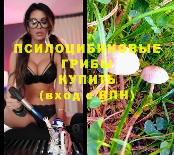 прущая мука Пересвет