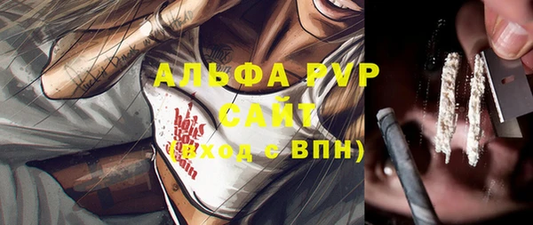 сатива Баксан