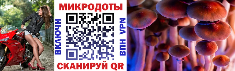 Галлюциногенные грибы Magic Shrooms  Туапсе 